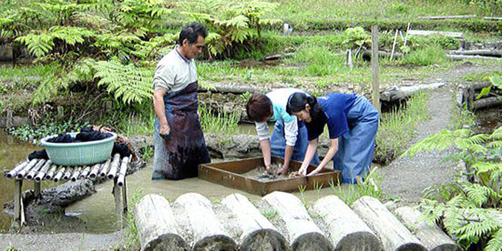 本場大島紬　泥染め