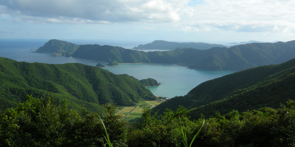 奄美大島の歴史